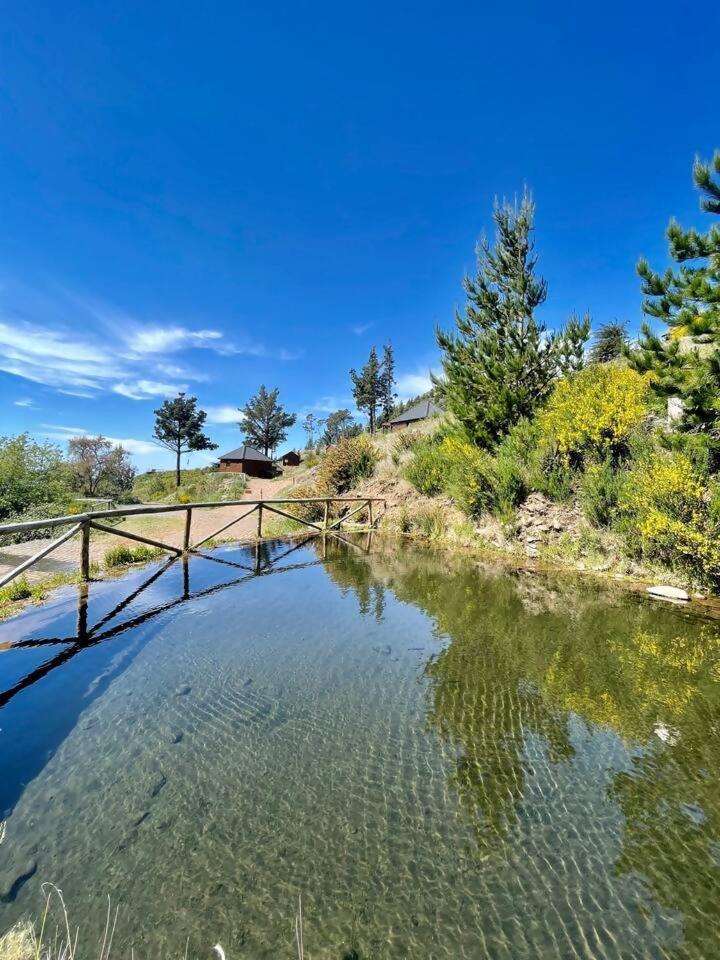 Hotel Mountain Eco Shelter 7 Funchal  Zewnętrze zdjęcie