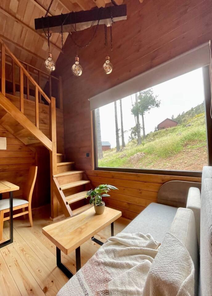 Hotel Mountain Eco Shelter 7 Funchal  Zewnętrze zdjęcie