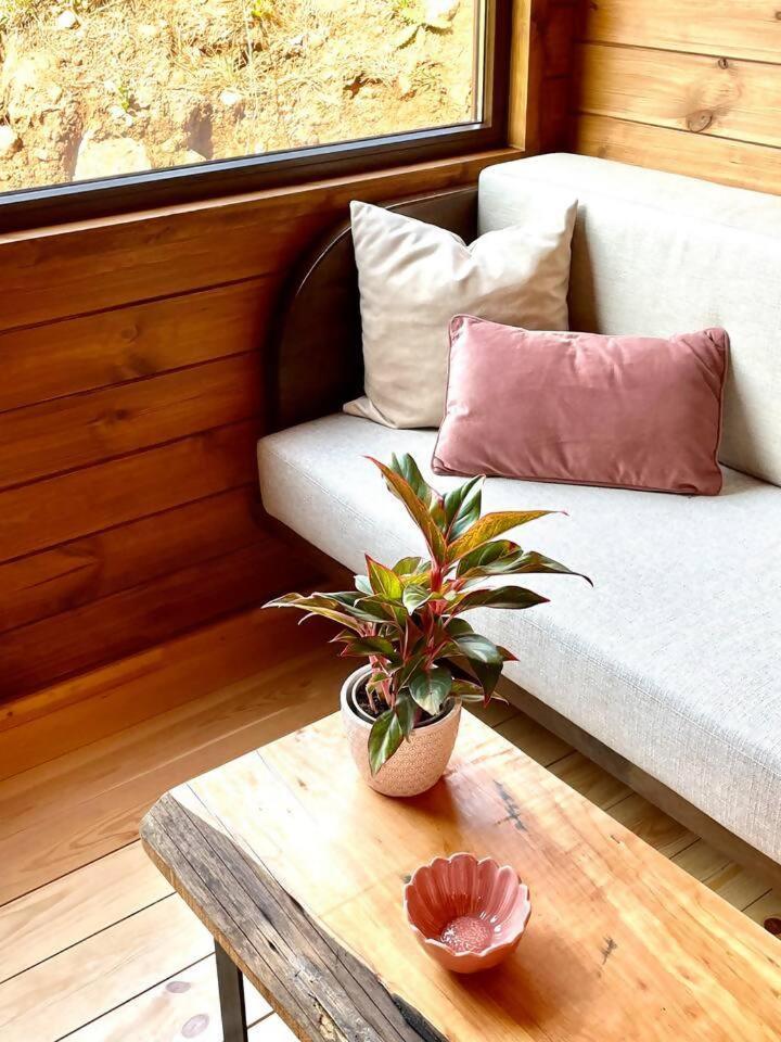 Hotel Mountain Eco Shelter 7 Funchal  Zewnętrze zdjęcie